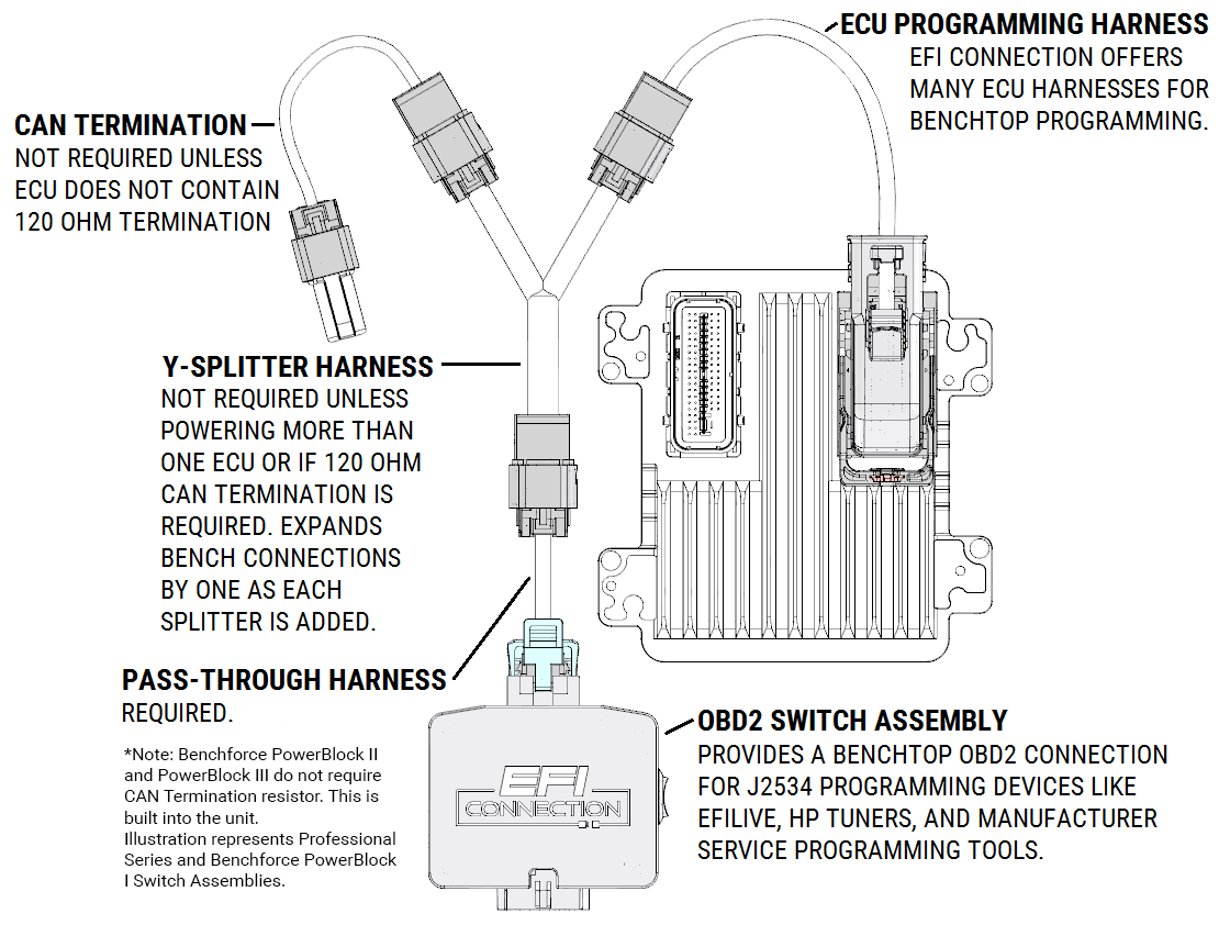 GM 98-02 V6 PCM Programming Harness - EFI Connection, LLC
