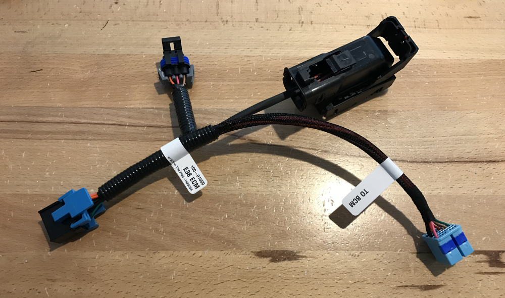 Professional Series E38 ECM and BCM Extension Harness - EFI Connection, LLC