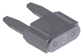 2 Amp Mini Fuse