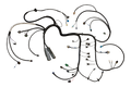 EFI 24x™ Plug and Play Engine Harness Assembly