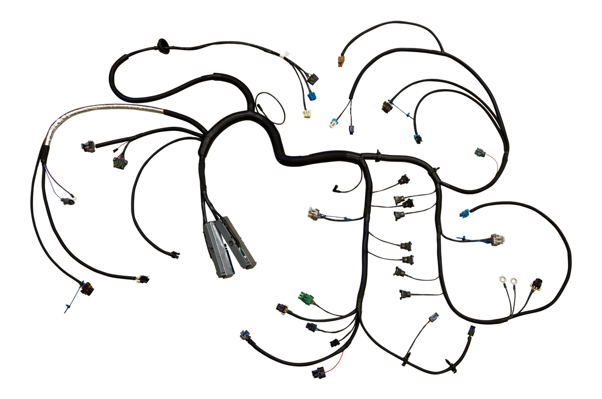 EFI 24x™ Plug and Play Engine Harness Assembly