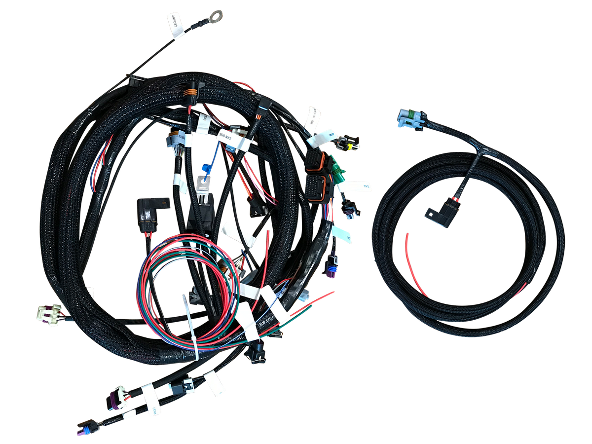 EFI Connection 24x/58x LT1 Stand-Alone Engine Wire Harness for Holley EFI ECU
