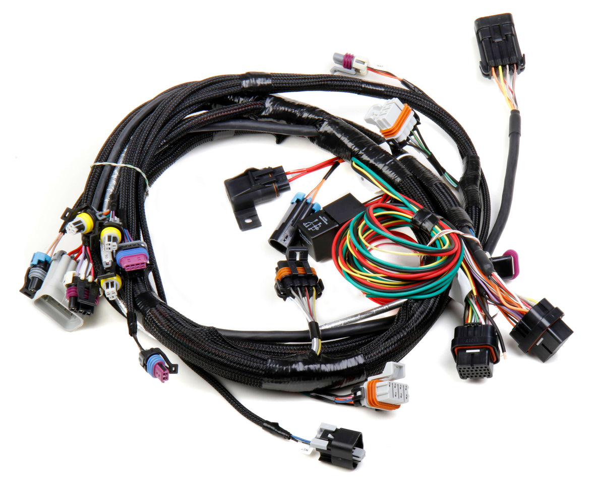 Holley® LS1/6 (24X/1X) Engine Main Harness