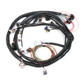 Holley® LS2/3/7+ (58X/4X) Engine Main Harness